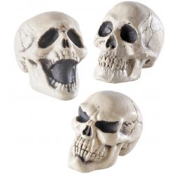 Calavera Plástico Tienda de disfraces online - Mercadisfraces