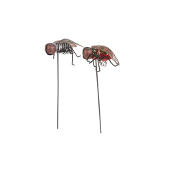 Mosca para Halloween Tienda de disfraces online - Mercadisfraces