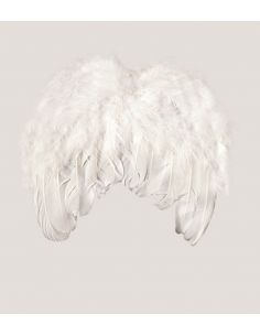 Alas Plumas 20 x 20 cm. Tienda de disfraces online - Mercadisfraces