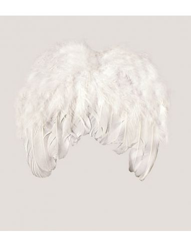 Alas Plumas 20 x 20 cm. Tienda de disfraces online - Mercadisfraces