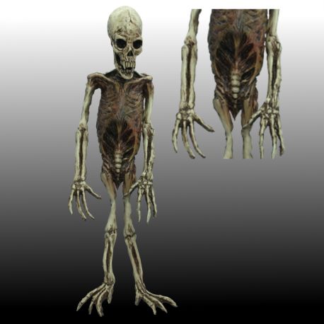 Esqueleto de Mono en Latex
