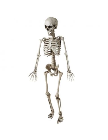 Esqueleto Articulado de 120 cm Tienda de disfraces online - Mercadisfraces