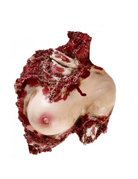 Decoración Torso de mujer ensangrentado Tienda de disfraces online - Mercadisfraces Decoración Torso de mujer ensangrentado Tienda de disfraces online - Mercadisfraces
