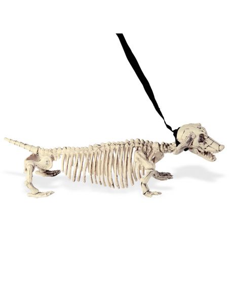 Esqueleto de Perro Salchicha con correa Tienda de disfraces online - Mercadisfraces