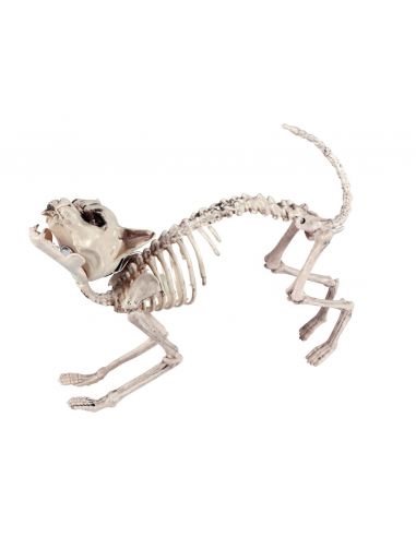 Esqueleto GatoLuz y Sonido Tienda de disfraces online - Mercadisfraces