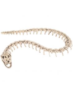 Esqueleto Serpiente Tienda de disfraces online - Mercadisfraces