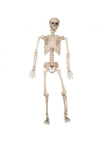 Esqueleto Colgante 120 cm Tienda de disfraces online - Mercadisfraces