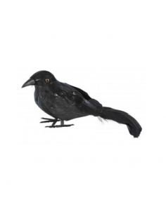 Cuervo Plumas negro Tienda de disfraces online - Mercadisfraces