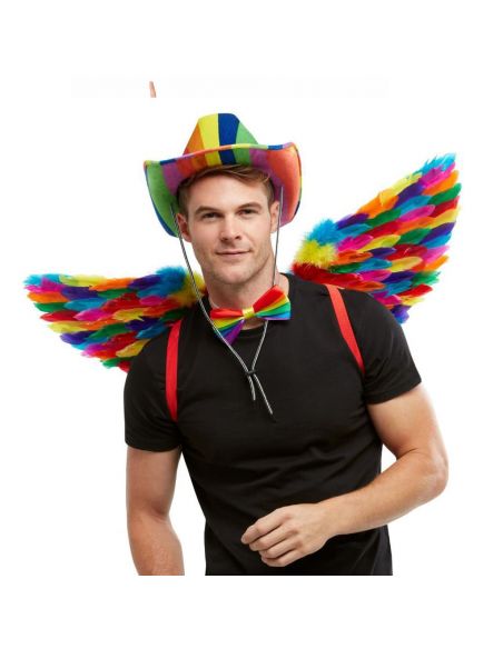 Alas de plumas en multicolor Tienda de disfraces online - Mercadisfraces Alas de plumas en multicolor Tienda de disfraces online - Mercadisfraces