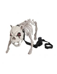 Esqueleto Perro con Luz y Sonido Tienda de disfraces online - venta disfraces