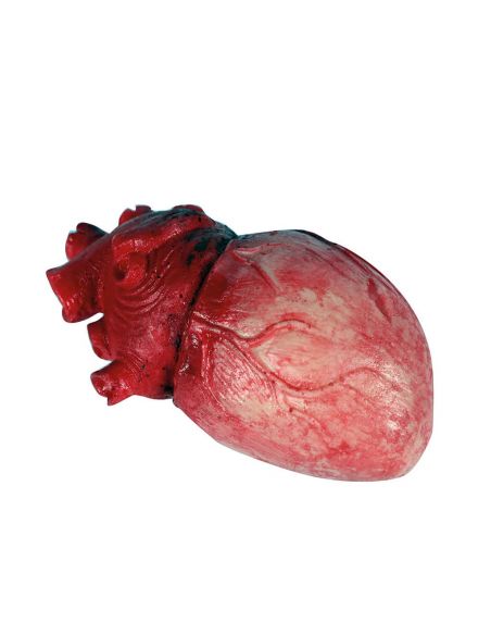 Corazón de Látex Terrorífico Tienda de disfraces online - Mercadisfraces Corazón de Látex Terrorífico Tienda de disfraces online - Mercadisfraces