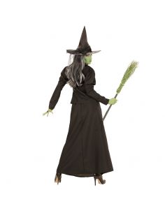 Disfraz de Bruja de Cuento para Mujer Tienda de disfraces online - Mercadisfraces 2