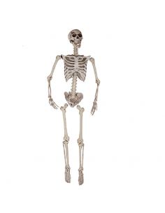 Esqueleto Decoración Tienda de disfraces online - Mercadisfraces