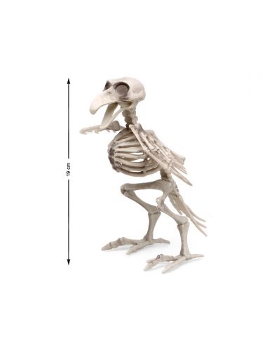 Esqueleto de cuervo Tienda de disfraces online - Mercadisfraces