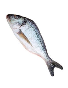 Pez 55 cm. Tienda de disfraces online - Mercadisfraces 2