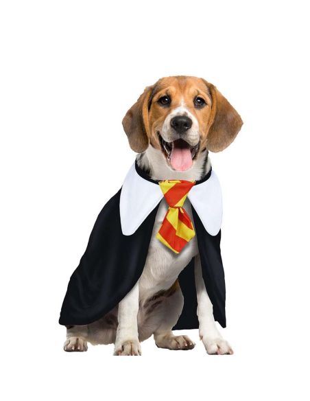 Disfraz Estudiante para mascota Tienda de disfraces online - Mercadisfraces Disfraz Estudiante para mascota Tienda de disfraces online - Mercadisfraces